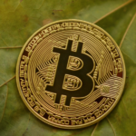 crypto 00034