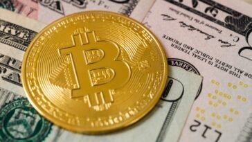 pexels karolina grabowska 5980567