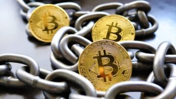 pexels roger brown 5698697