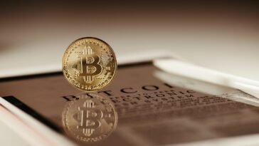 pexels jonathan borba 14348489