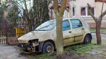 macchina investimentimagazineit