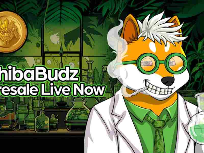 Shiba Budz (BUDZ) Price Prediction, In 2024 And 2025 | Investing Plus