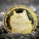 dogecoin elon musk 1