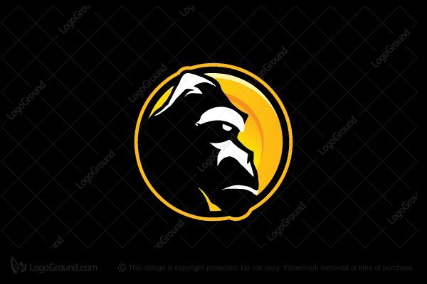 dv10y20211585742021 06 113420699kaye crypto gorilla logo