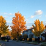 unlock unique real estate buying opportunities in fall 2025 1761318306