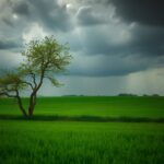 midwest braces for severe storms amid weather alert 1762122587