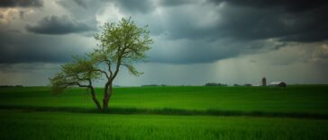 midwest braces for severe storms amid weather alert 1762122587