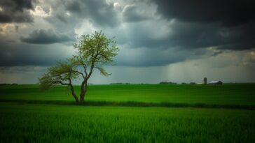 midwest braces for severe storms amid weather alert 1762122587