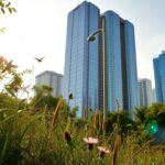 exploring urbanizations impact on biodiversity in metropolitan areas 1765861624